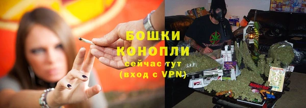 трава Абаза