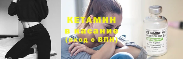 трава Абаза