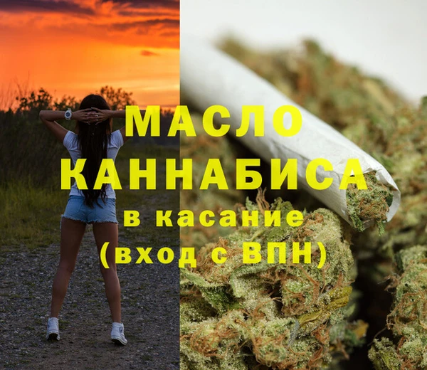 сатива Алзамай
