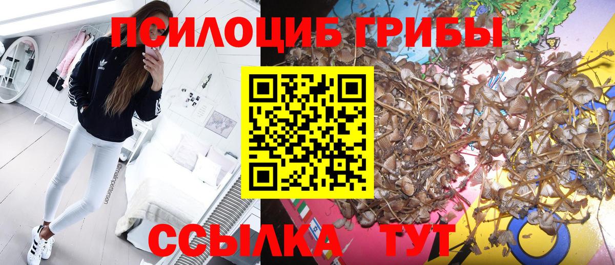 Галлюциногенные грибы GOLDEN TEACHER Благовещенск