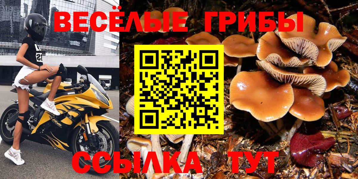 Благовещенск  Галлюциногенные грибы MAGIC MUSHROOMS  Вход с VPN 